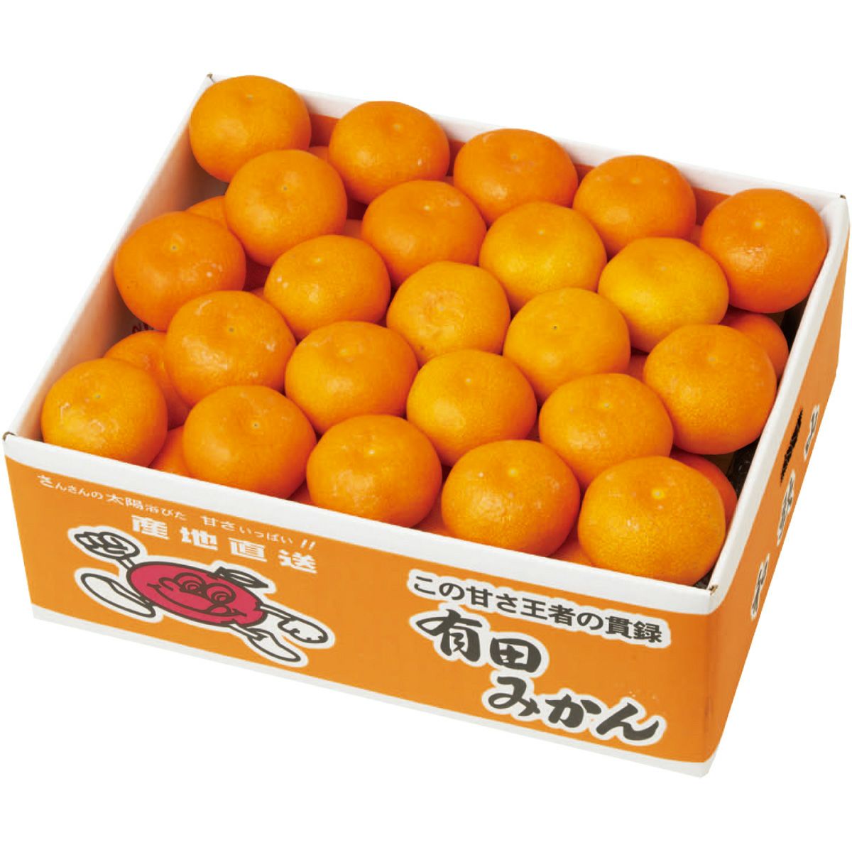 和歌山県産 有田みかん | オオゼキオンラインストア