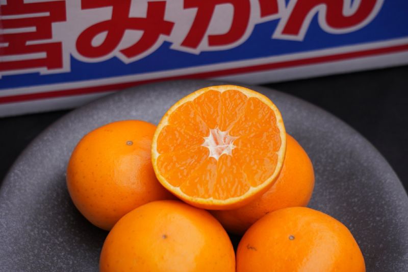 1月上旬～中旬 順次出荷】佐賀県産 サンライトみかん 約2.5kg