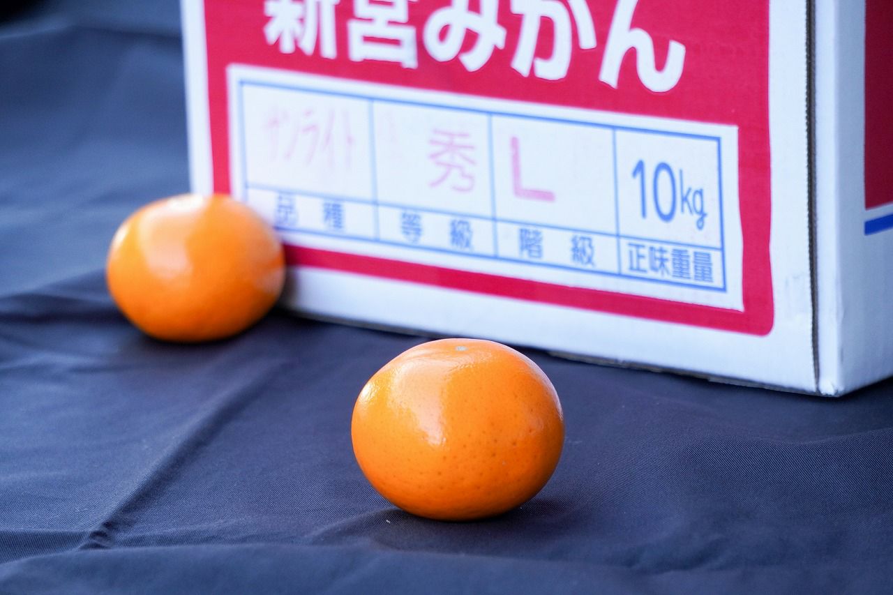 1月下旬～順次出荷】緊急入荷・超お買い得！超大盛 佐賀県産サン